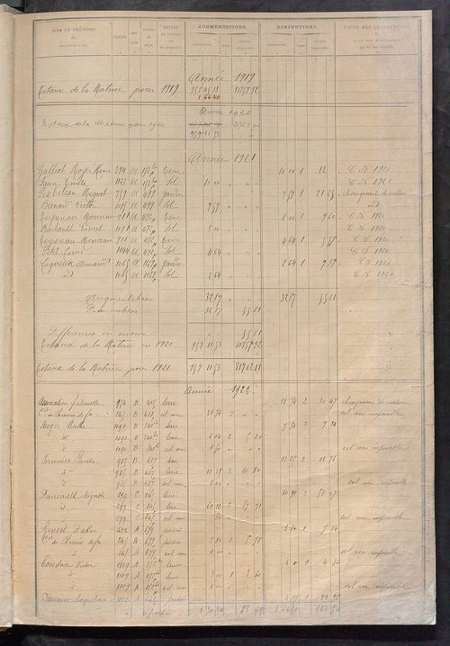 Matrice des propriétés non bâties : tableau présentant les augmentations et les diminutions survenues dans la matière imposable ; récapitulation ; table alphabétique des propriétaires.