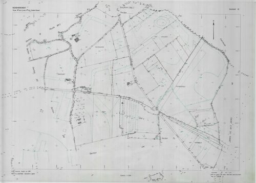 Section ZI