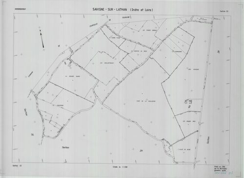 Section ZI