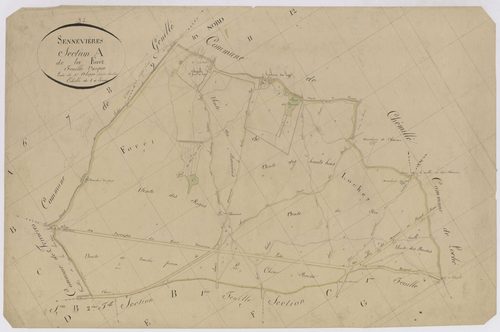 Section A1 de la Forêt
