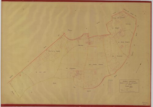 Section D, feuille 1