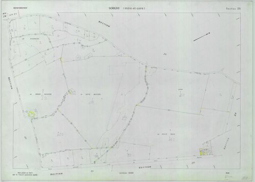 Section ZS