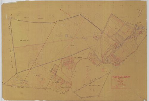 Section D
