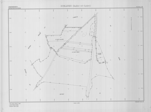 Section ZR