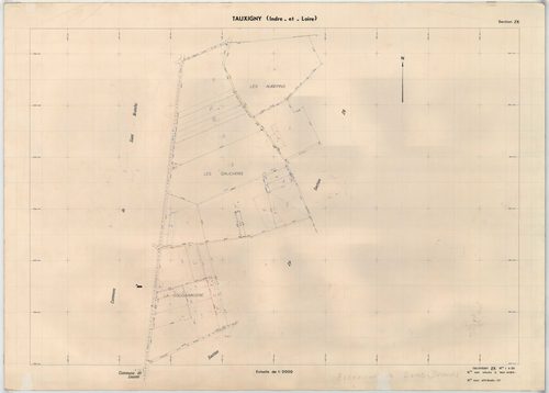 Section ZX