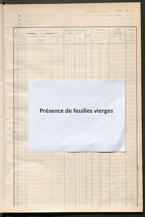 Matrice des propriétés foncières, fol. 313 à 345.