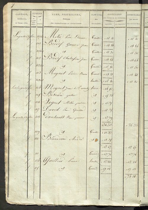 Etats de sections ; relevé des numéros de même nature de culture ; classement parcellaire et évaluation des revenus imposables des propriétés bâties, avec le nombre des portes et fenêtres.