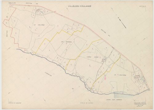 Section AP