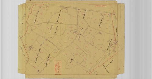Section C, planche 11