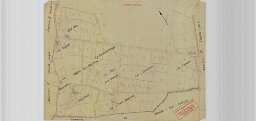 Section D, planche 16