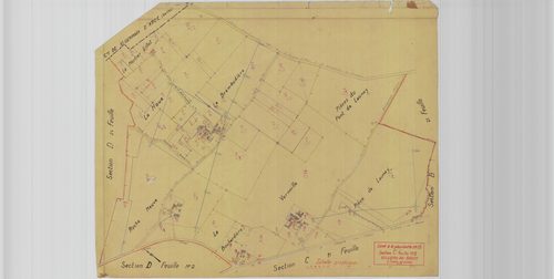 Section C2, planche 13