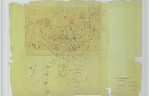 Section Y