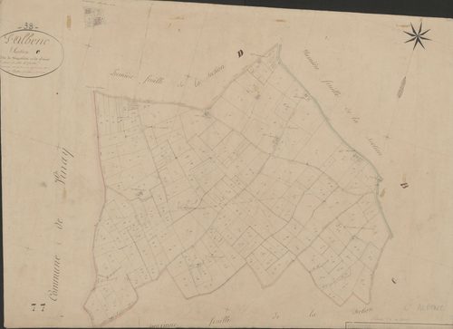 4P4/344 Section C