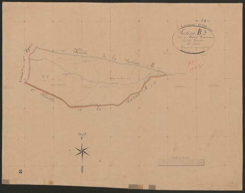 4P4/234 Section B