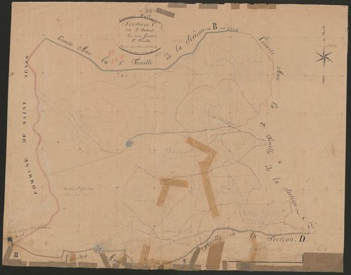 4P4/234 Section C