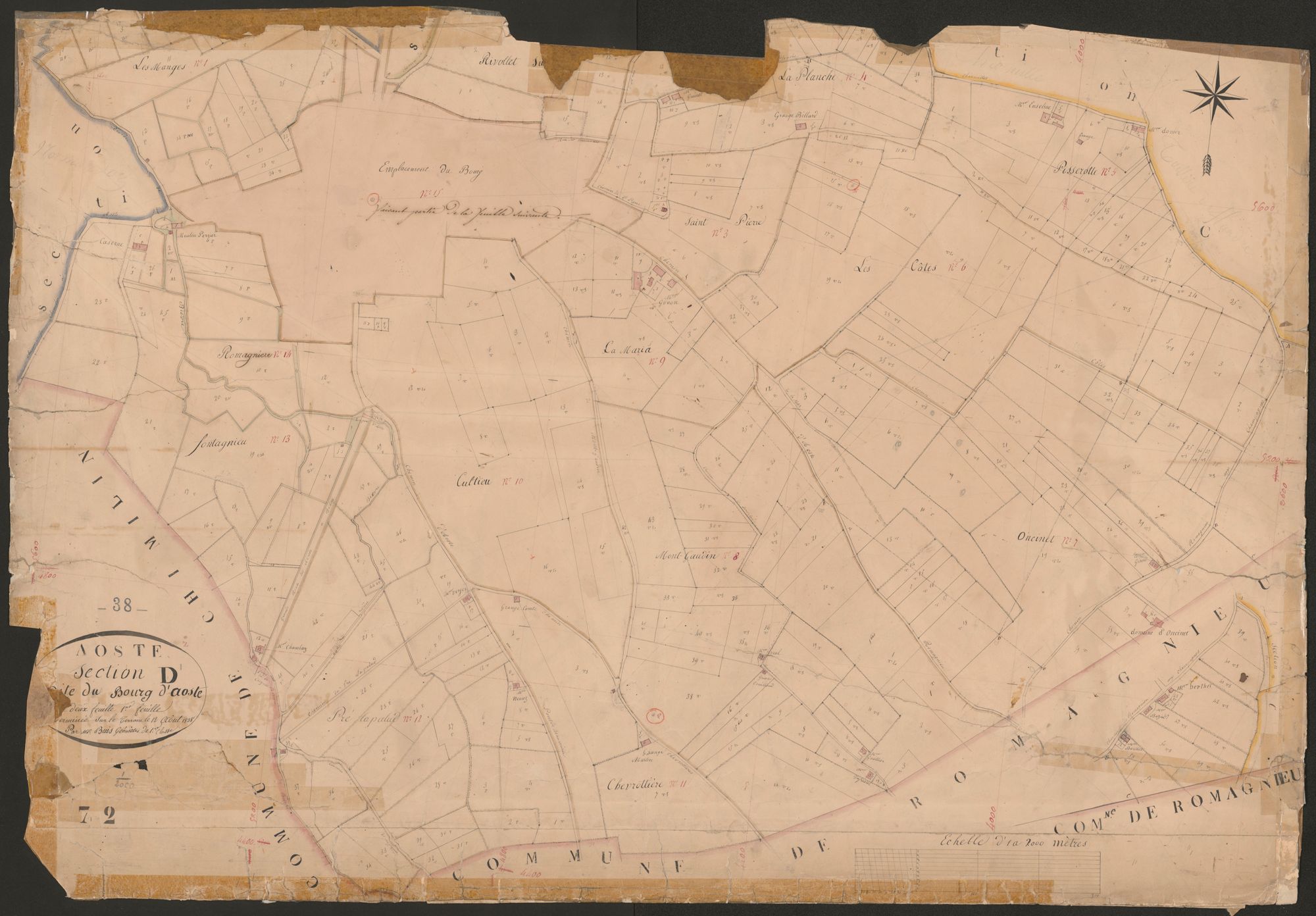 4P4/3 Section D