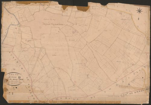 4P4/3 Section D