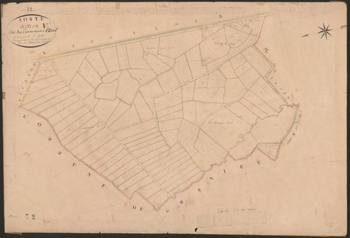 4P4/3 Section E