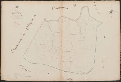 4P4/434 Section C