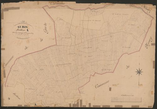 4P4/236 Section A