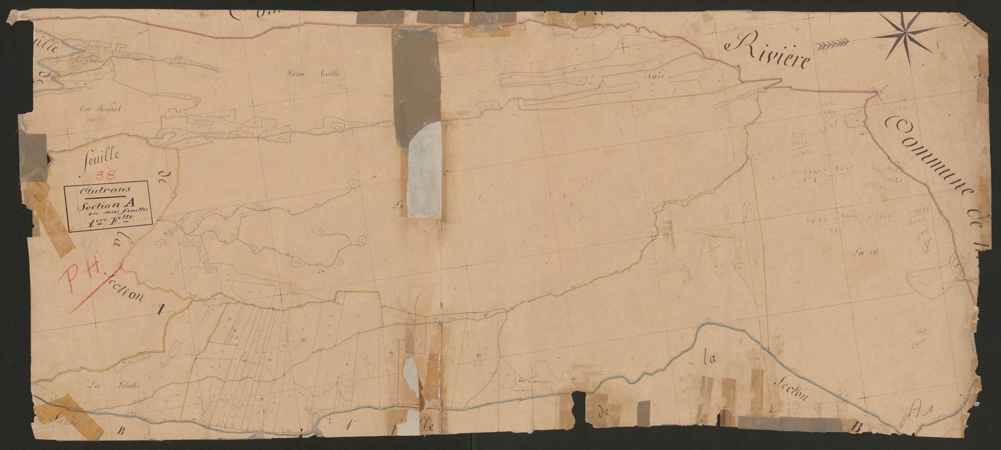 4P4/237 Section A