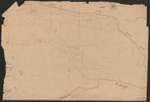 4P4/237 Section C