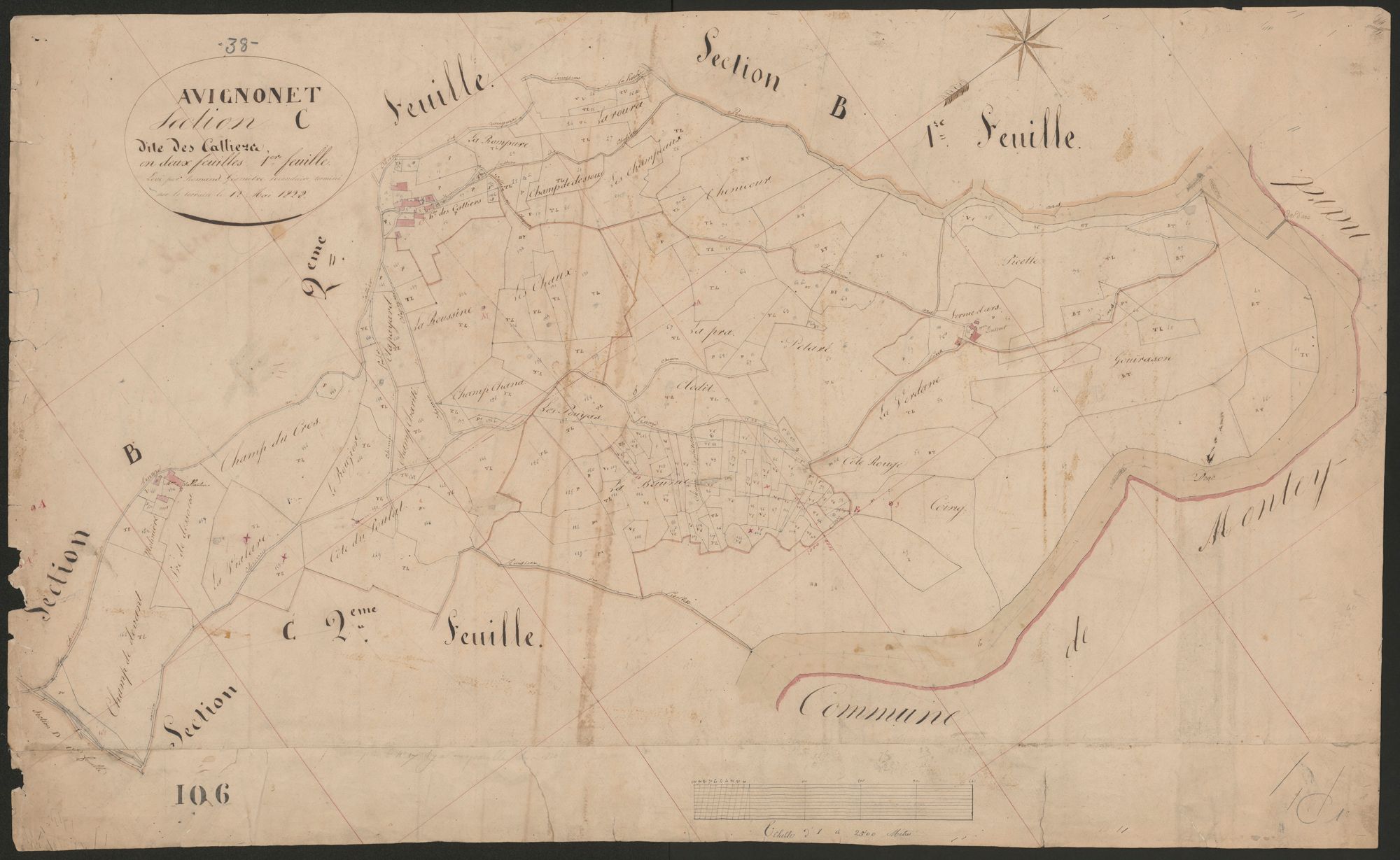 4P4/238 Section C