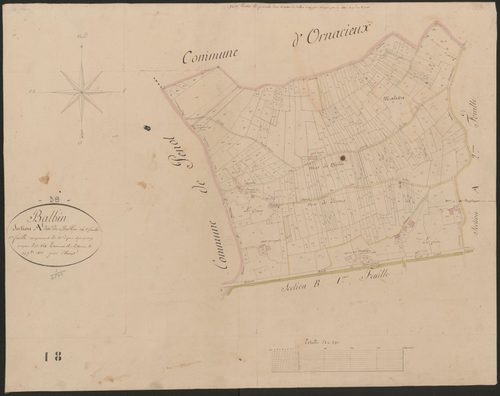 4P4/436 Section A