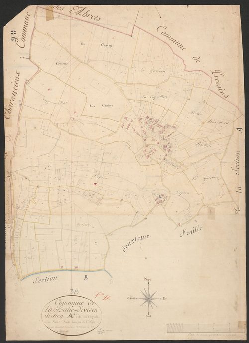 4P4/9 Section A
