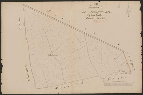 4P4/346 Section C