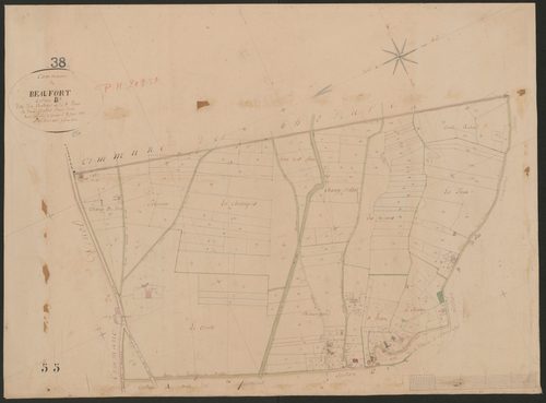 4P4/347 Section B