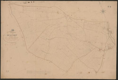 4P4/347 Section C