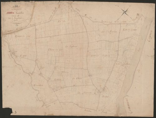 4P4/348 Section C