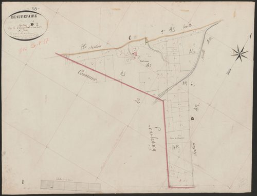 4P4/437 Section D