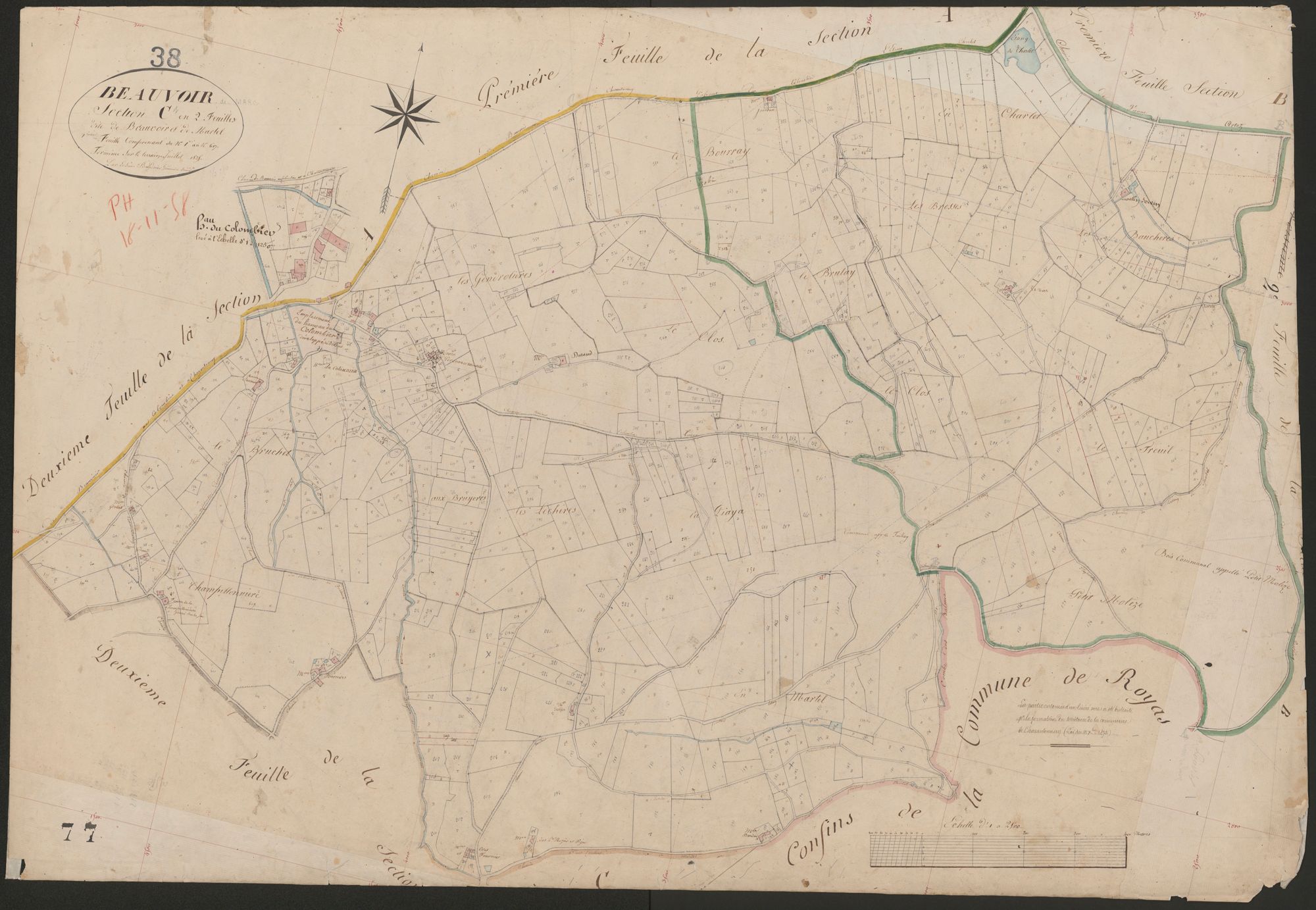 4P4/438 Section C