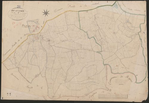 4P4/438 Section C