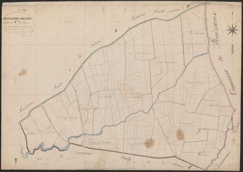 4P4/439 Section C