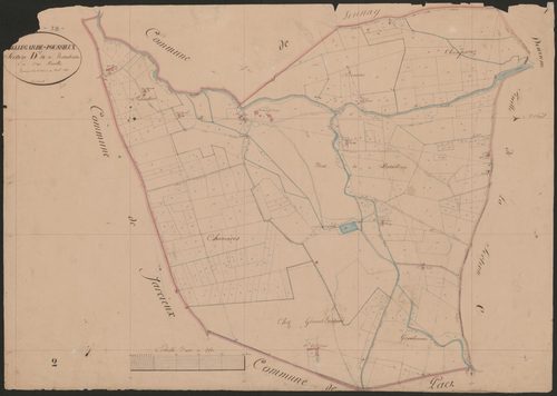 4P4/439 Section D