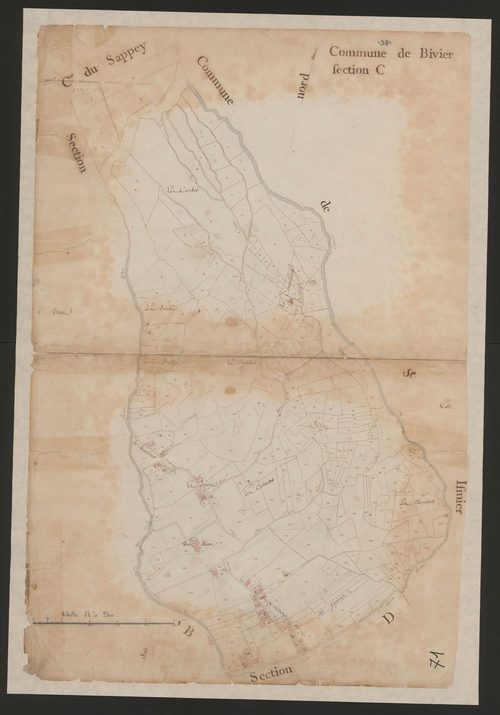 4P4/137 Section C