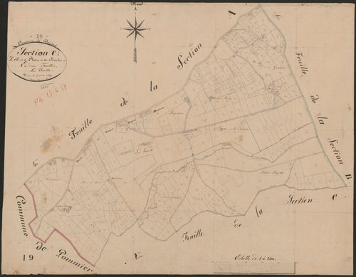 4P4/441 Section C