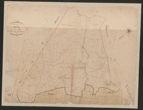 4P4/139 Section B