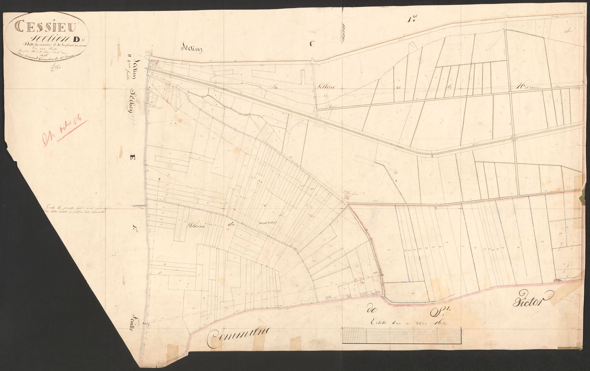 4P4/23 Section D