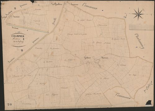 4P4/444 Section A