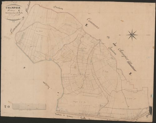 4P4/444 Section C