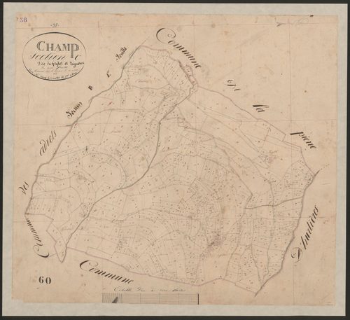 4P4/143 Section C