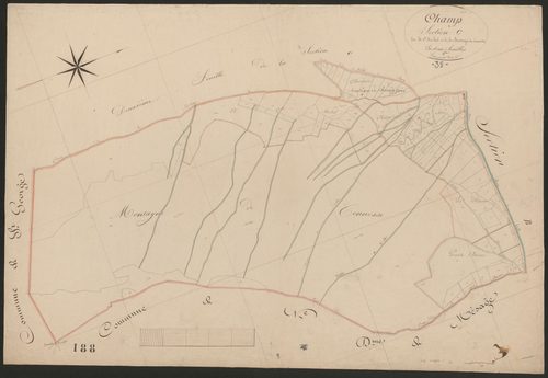 4P4/144 Section C