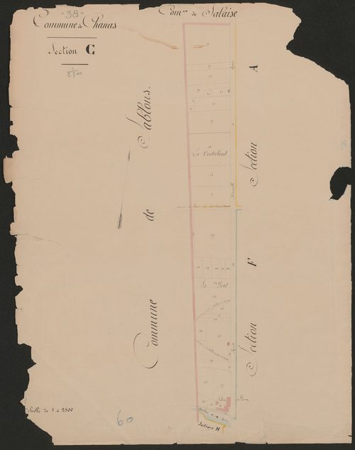 4P4/445 Section G
