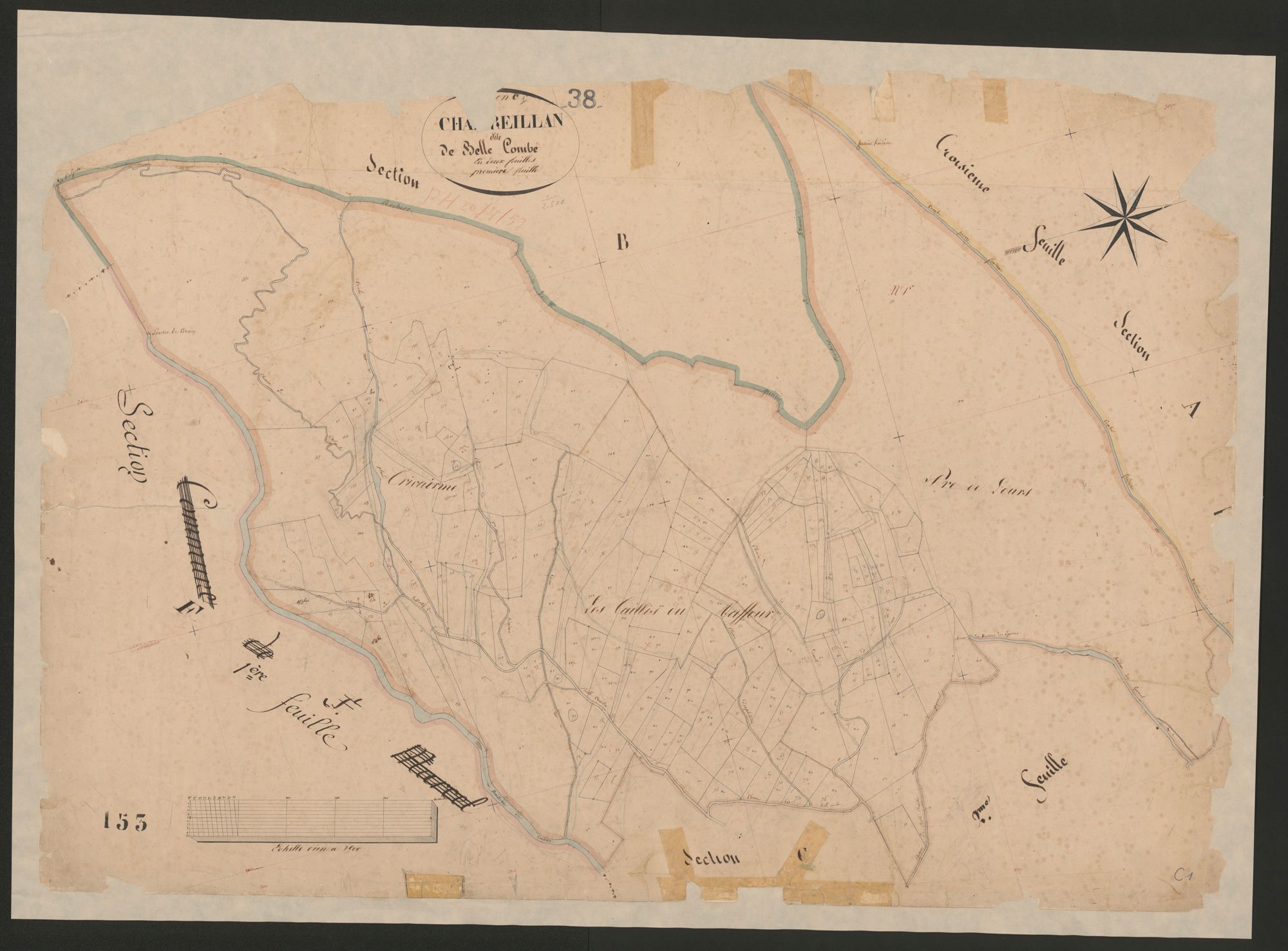 4P4/145 Section C