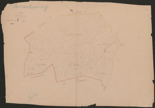 4P4/447 Section A