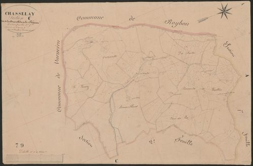 4P4/356 Section C